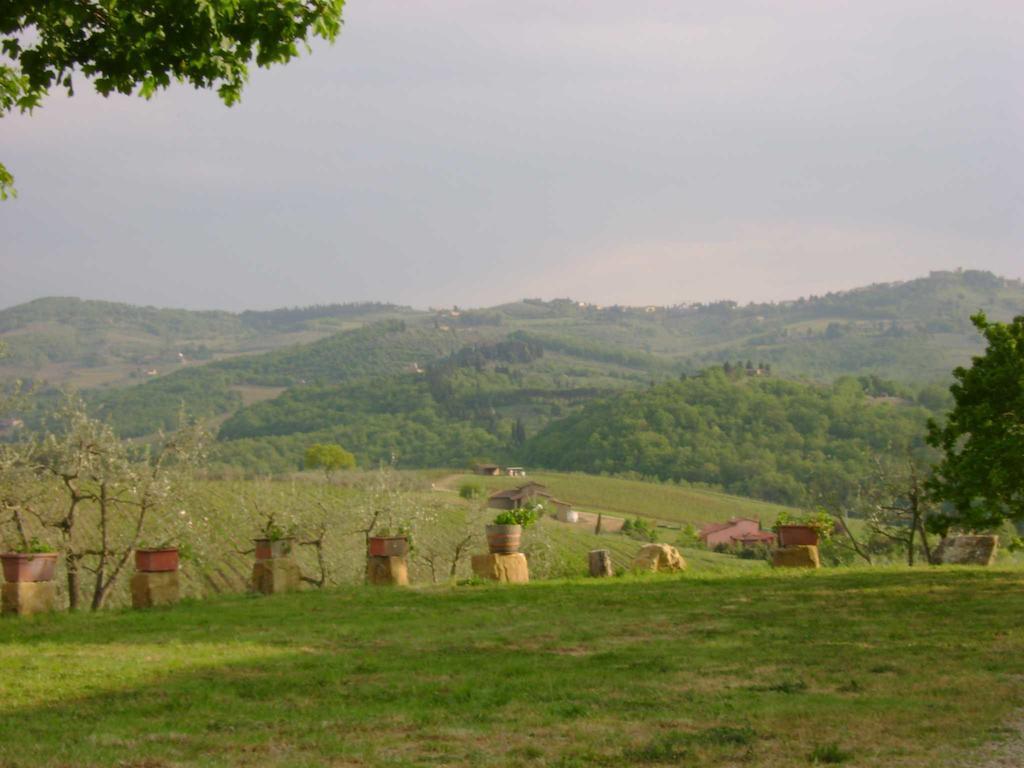 Agriturismo Il Santo Греве ин Кианти Екстериор снимка